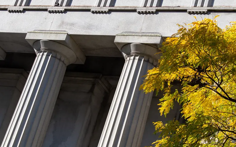 Stone columns of a classical building seen from below