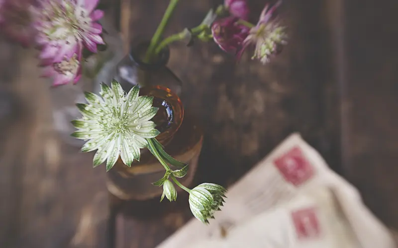 Vintage letters and envelopes on a table with dried flowers in a vase