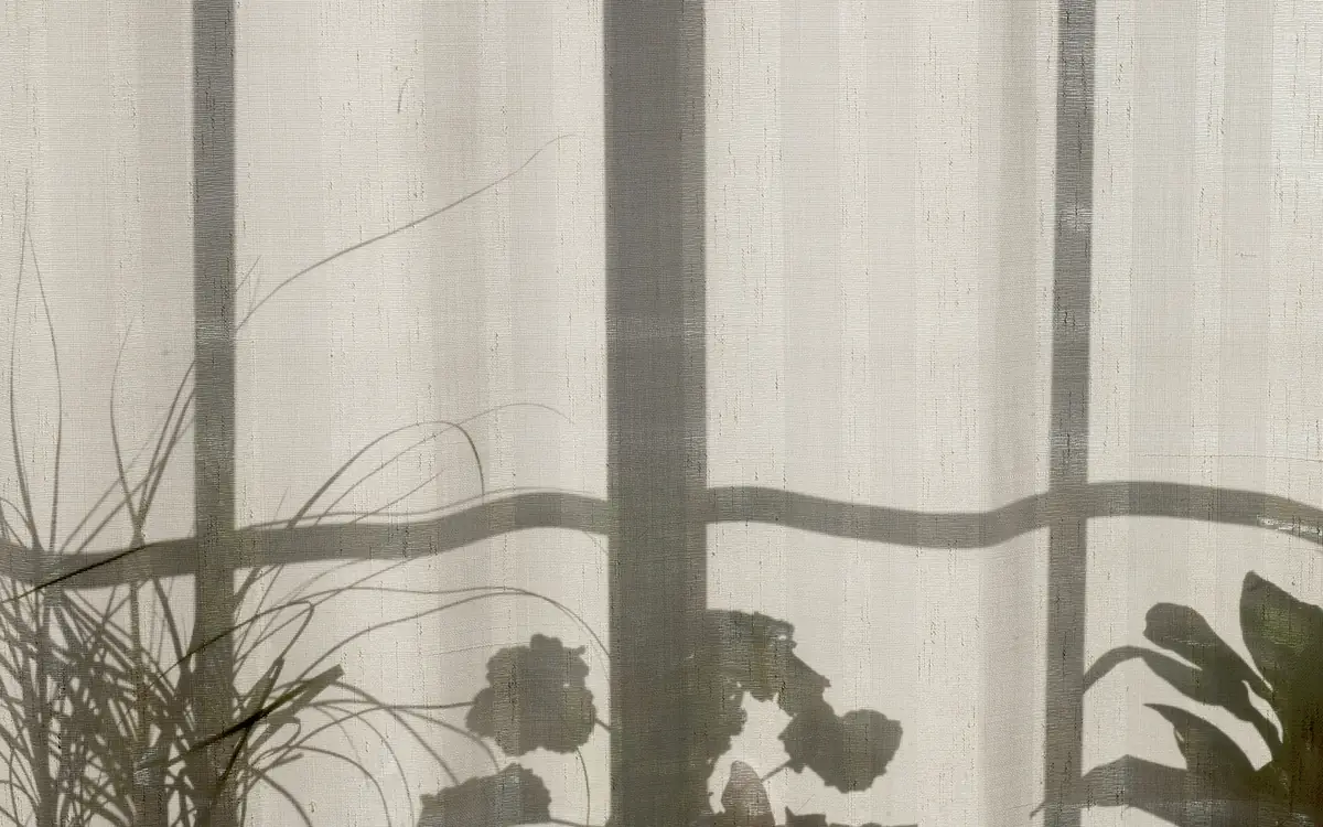 Sheer curtain over a window with houseplants casting shadows